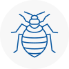 Bed Bug Extermination In Dumbarton